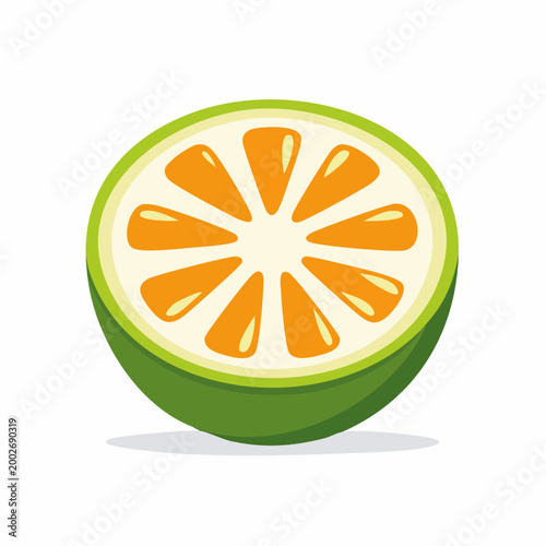 Stylized illustration of a halved lime with orange segments