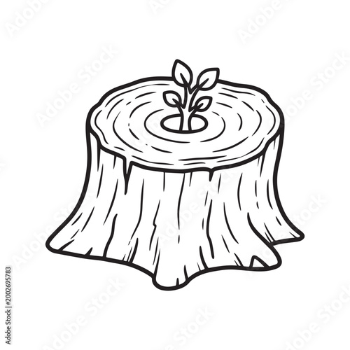Resilient New Growth Sapling Emerging from a Weathered Vintage Wood Tree Stump.