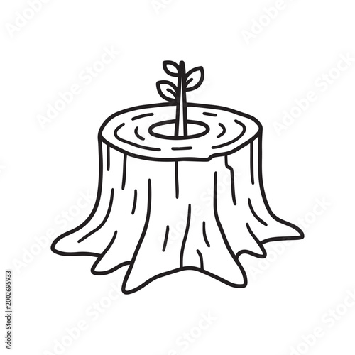 Resilient New Growth Sapling Emerging from a Weathered Vintage Wood Tree Stump.