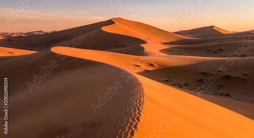 Golden hour desert dunes with winding paths at sunset illustration