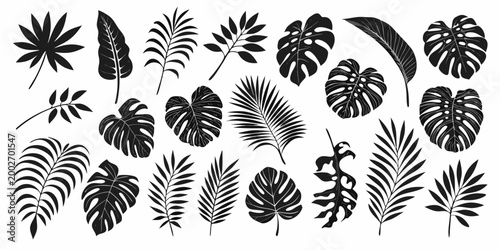 Tropical leaf silhouettes collection black vector illustration on white background
