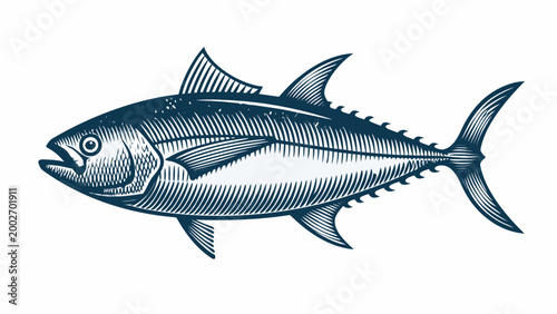 Vintage engraving of a tuna fish detailed illustration