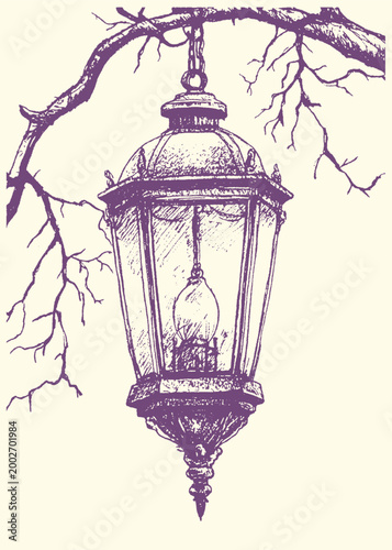 Vintage street lantern hanging from a bare tree branch vector illustration showing an antique lighting fixture design element sketch