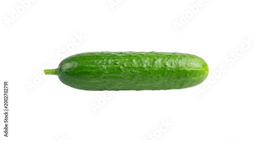 Fresh organic green cucumber with textured skin for healthy salad cooking, farm fresh vegetable grocery, and nutritious food diet ingredient isolated