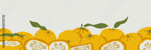 Horizontal yuzu citrus border with fruits slices and leaves in hand drawn asian style vector illustration along bottom edge non seamless composition for menu packaging banner and catering design use