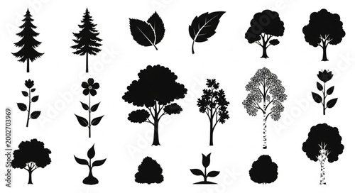 Collection of Black Silhouettes of Various Trees and Plants.