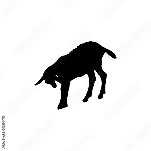 Young Goat Kid Silhouette Vector: Small Farm Animal in Inquisitive Stance
