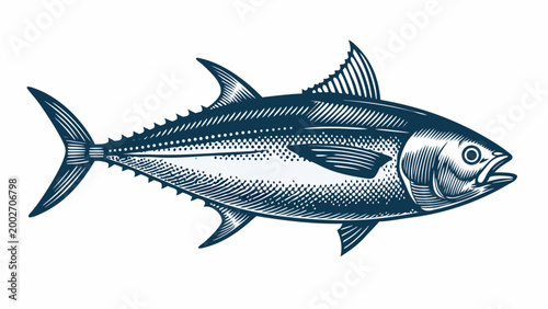 Vintage engraving of a tuna fish detailed illustration on white background