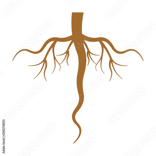 Spreading Plant Roots