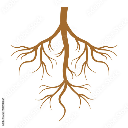 Spreading Plant Roots