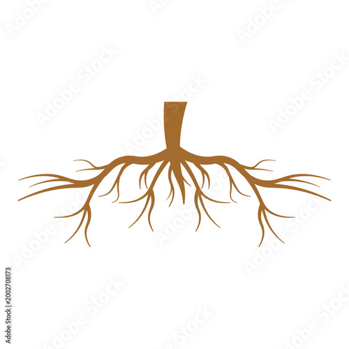 Spreading Plant Roots