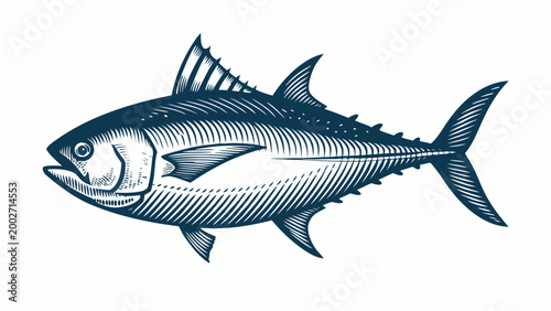 Vintage engraving style tuna fish illustration on white background