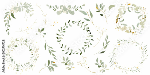 watercolor wreaths and leaves delicate floral arrangements on white