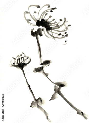 Artistic Hand Drawn Ink Sketch of Two Blooming Wild Flowers in Asian Style