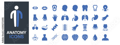 Anatomy icons show organs and senses in outline style.