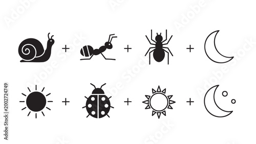 Fotografie Four different insects and celestial bodies shown on black and white background
