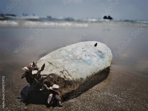 Seashell Adornment on Seashore Waste: A poignant tableau of discarded debris, intricately embellished with the delicate artistry of oceanic shells, lies on the shore.