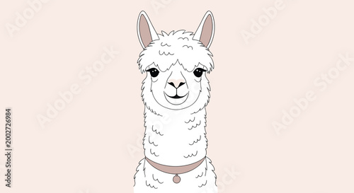 Frontal view portrait of a white fluffy llama or alpaca with a friendly face and big dark eyes on a soft pink background.