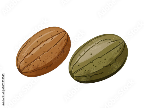 Two Cocoa Beans Illustration, Isolated Vector Icon for Food and Beverage Industry Design