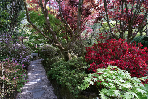 path through a Japanese garden