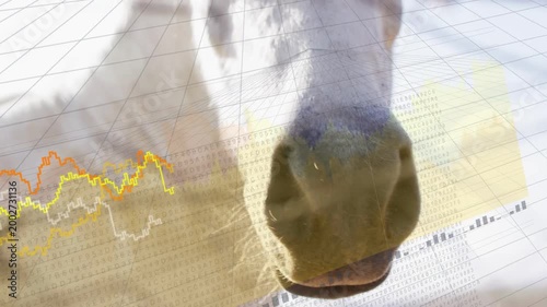 Light-colored horse muzzle investigating lens and turning, tech line graphs rippling with motion