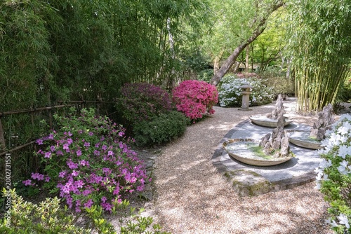 scene through a Japanese garden