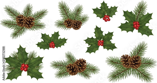 Christmas holly branches with pine cones and red berries on white background pine branch red berry