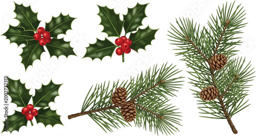 Christmas holly sprigs with red berries and pine branches with pinecones holly leaves