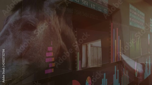 Panels appearing, charts shifting, horse head moving into view to show stable analytics blend