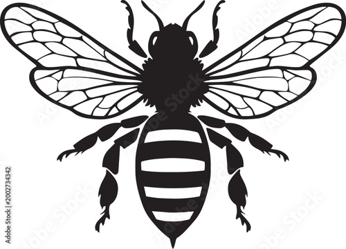 Funny cartoon vector illustration of a cute black and white wasp and beetle insect set featuring wings and nature wildlife animal design elements