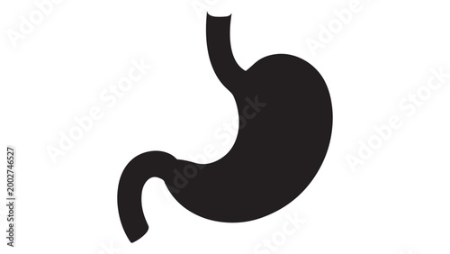 A minimalist silhouette of the human stomach organ representing digestive health and internal body anatomy