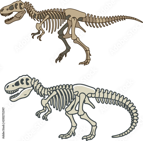 Illustration of dinosaur skeletons in side view, showcasing fossilized bones of prehistoric reptiles for educational and scientific reference.