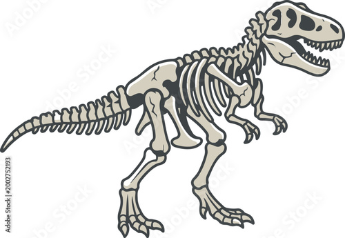 Illustration of a dinosaur skeleton in side view, showing detailed fossilized bones of a prehistoric predator for educational use.