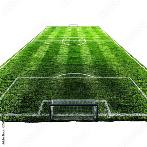soccer field with white lines