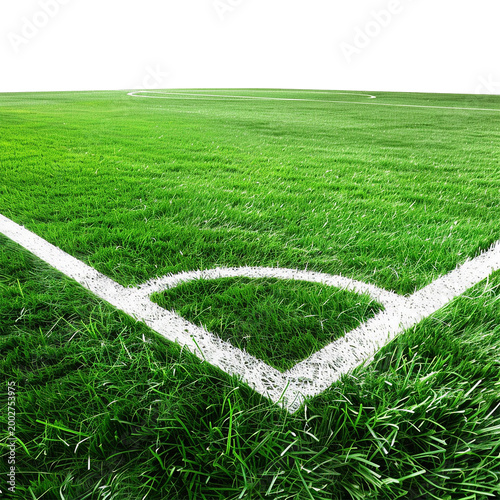 green grass field