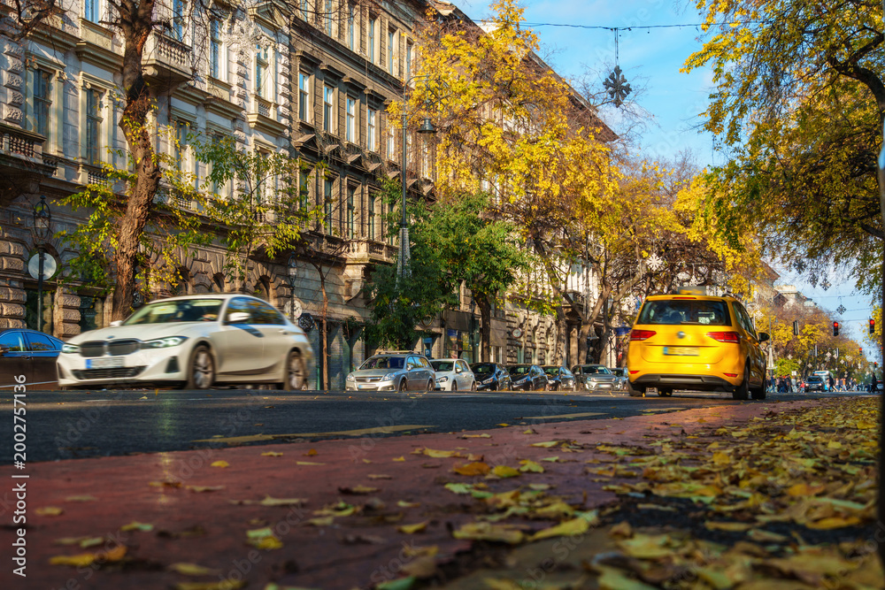 Fototapeta premium Autumn street scene in Budapest with yellow leaves on the pavement and cars driving past historic European architecture during a sunny day in the city center