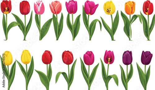 Tulip Flower Icon Set Featuring Vibrant, Multi-Color Blooms for Spring, Garden, and Nature Designs