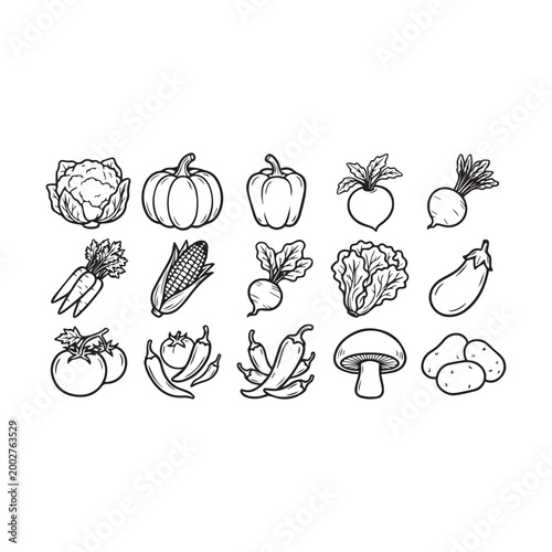Collection of black and white vegetable line drawings including cauliflower pumpkin pepper beet corn carrot radish lettuce eggplant tomato chili mushroom potato