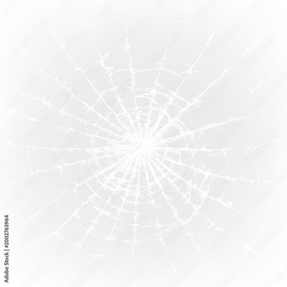 Fototapeta premium Web design showing a detailed pattern of a spider web on a transparent background during daylight hours