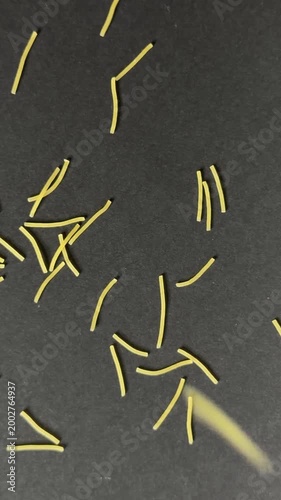 Uncooked broken spaghetti noodles slowly falling onto a dark background creating a textured food pattern, high quality macro ingredient footage ready for cooking