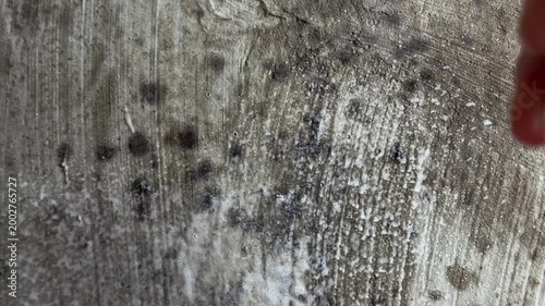 Person spraying powerful cleaning foam on a dirty concrete wall with black mold, effectively removing damp fungus and mildew for professional home maintenance and restoration
