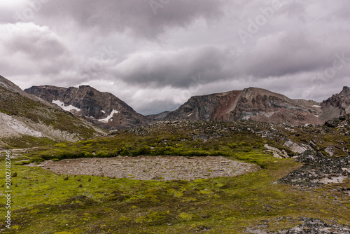 High altitude alpine tundra with green moss and a dry seasonal pond bed in the Andes