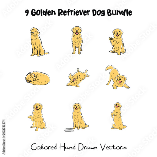 Dog_Golden_Retriever - ORIGINAL
