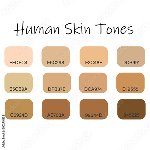 Human skin tones icon, color plate of human skin tones vector flat illustration isolated on white background.