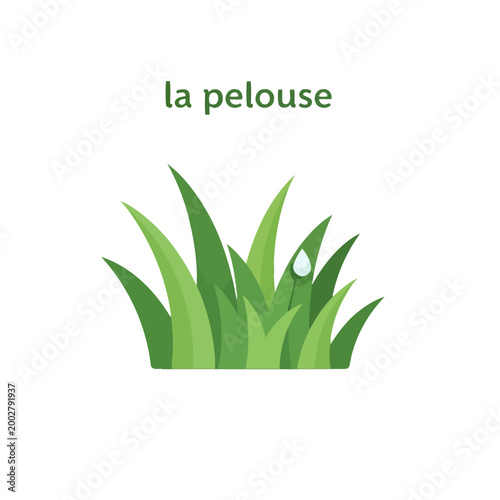A simple illustration of green grass blades with a single water droplet on white background