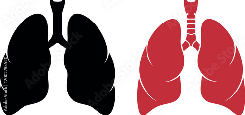 Healthy human lungs illustration comparing normal and diseased states