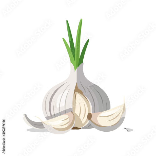 A fresh garlic bulb with green sprouts and peeled cloves on a white background
