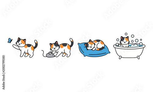 Calico cat daily activity set illustration on white background