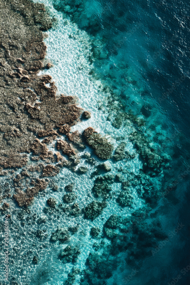 Obraz premium aerial view of tropical coral reef in crystal clear blue water, pristine coral reef paradise with turquoise lagoon from above, vibrant reefscape island getaway with clear ocean and giant corals