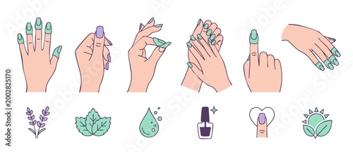 Manicure hand poses set with nail polish icons for beauty salon branding design. Vector illustration featuring elegant feminine hands, herbal elements, spa treatment symbols, and cosmetic skincare con